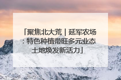 聚焦北大荒｜延军农场：特色种植带旺多元业态 土地焕发新活力