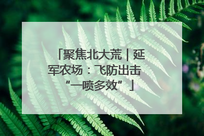 聚焦北大荒｜延军农场：飞防出击 “一喷多效”