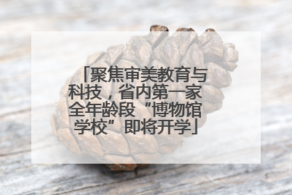 聚焦审美教育与科技，省内第一家全年龄段“博物馆学校”即将开学