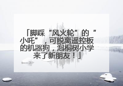 脚踩“风火轮”的“小吒”，可脱离遥控板的机器狗，泡桐树小学来了新朋友！