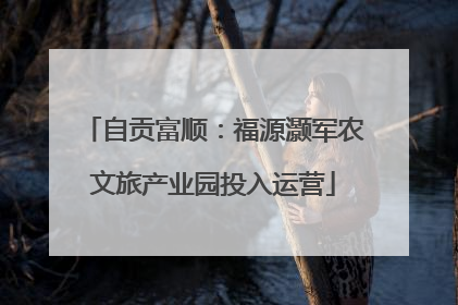 自贡富顺：福源灏军农文旅产业园投入运营