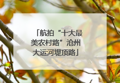 航拍“十大最美农村路”沧州大运河堤顶路