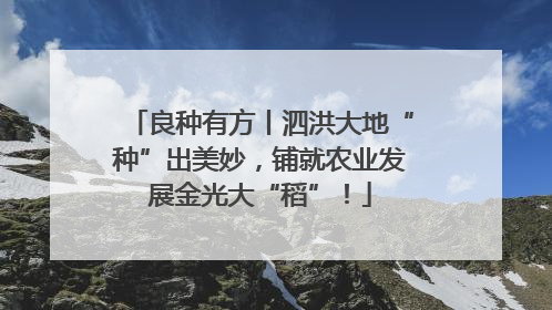 良种有方丨泗洪大地“种”出美妙，铺就农业发展金光大“稻”！