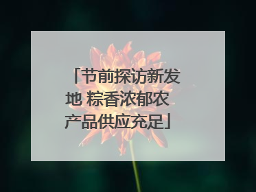 节前探访新发地 粽香浓郁农产品供应充足