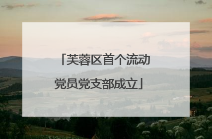 芙蓉区首个流动党员党支部成立