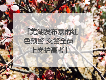 芜湖发布暴雨红色预警 交警全员上岗护高考