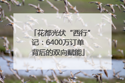 花都光伏“西行”记：6400万订单背后的双向赋能