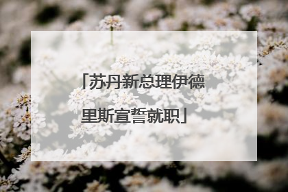 苏丹新总理伊德里斯宣誓就职