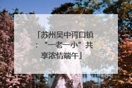 苏州吴中胥口镇：“一老一小”共享浓情端午