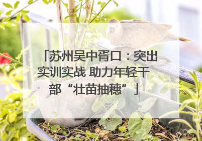 苏州吴中胥口：突出实训实战 助力年轻干部“壮苗抽穗”