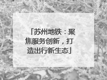 苏州地铁：聚焦服务创新，打造出行新生态