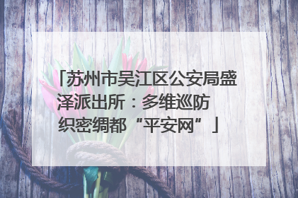 苏州市吴江区公安局盛泽派出所：多维巡防  织密绸都“平安网”