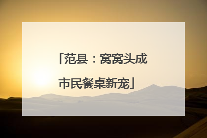 范县：窝窝头成市民餐桌新宠