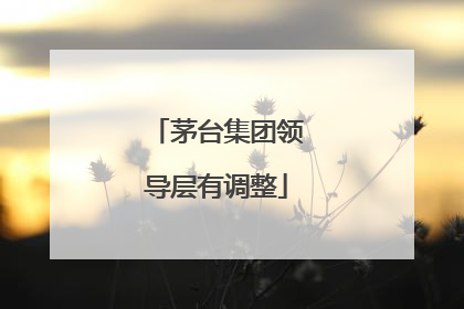 茅台集团领导层有调整