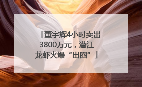 董宇辉4小时卖出3800万元，潜江龙虾火爆“出圈”