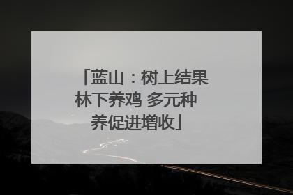 蓝山：树上结果林下养鸡 多元种养促进增收