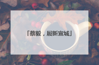 蔡毅，履新宣城