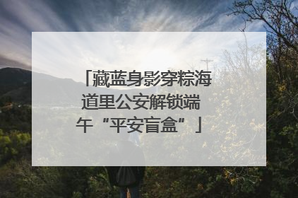 藏蓝身影穿粽海 道里公安解锁端午“平安盲盒”