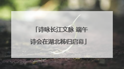 诗咏长江文脉 端午诗会在湖北秭归启幕