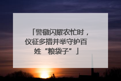 警徽闪耀农忙时，仪征多措并举守护百姓“粮袋子”