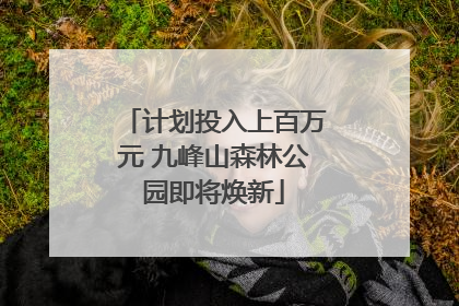 计划投入上百万元 九峰山森林公园即将焕新