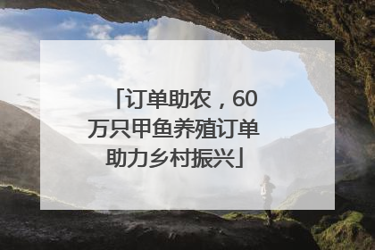 订单助农，60万只甲鱼养殖订单助力乡村振兴