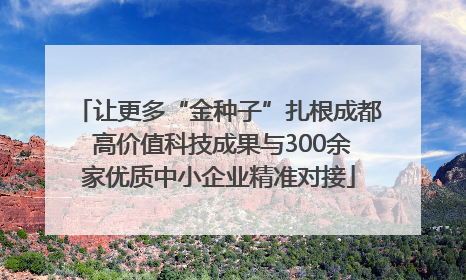 让更多“金种子”扎根成都 高价值科技成果与300余家优质中小企业精准对接