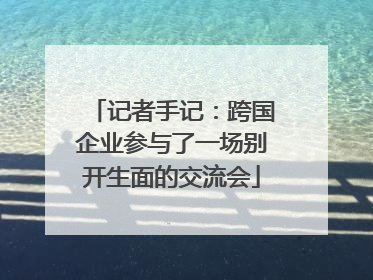 记者手记：跨国企业参与了一场别开生面的交流会