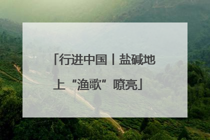 行进中国丨盐碱地上“渔歌”嘹亮