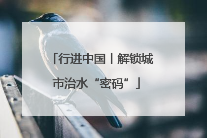 行进中国丨解锁城市治水“密码”