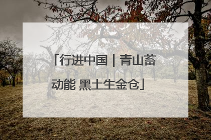 行进中国｜青山蓄动能 黑土生金仓