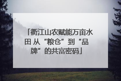 衢江山农赋能万亩水田 从“粮仓”到“品牌”的共富密码