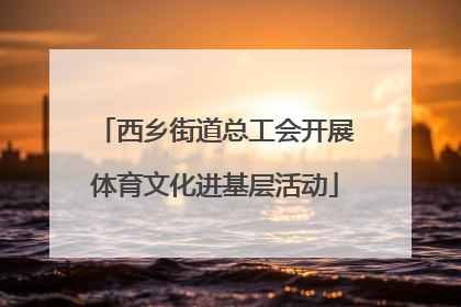 西乡街道总工会开展体育文化进基层活动