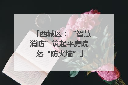 西城区：“智慧消防”筑起平房院落“防火墙”