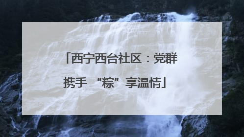 西宁西台社区：党群携手 “粽”享温情