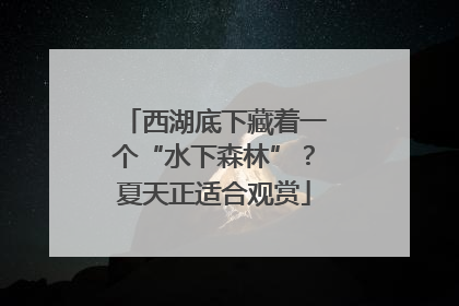 西湖底下藏着一个“水下森林”？夏天正适合观赏