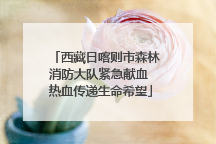 西藏日喀则市森林消防大队紧急献血 热血传递生命希望