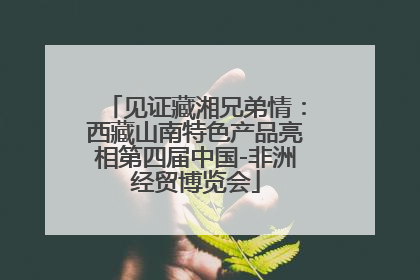 见证藏湘兄弟情：西藏山南特色产品亮相第四届中国-非洲经贸博览会