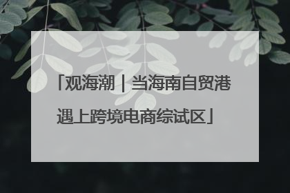 观海潮｜当海南自贸港遇上跨境电商综试区