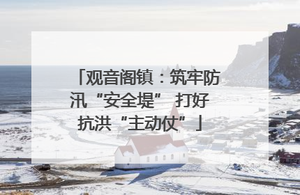 观音阁镇：筑牢防汛“安全堤” 打好抗洪“主动仗”