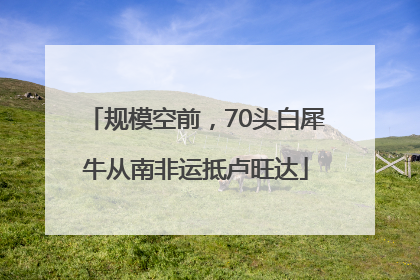 规模空前，70头白犀牛从南非运抵卢旺达