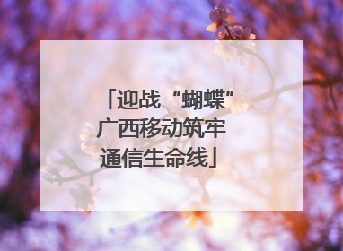 迎战“蝴蝶” 广西移动筑牢通信生命线