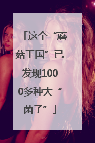 这个“蘑菇王国”已发现1000多种大“菌子”