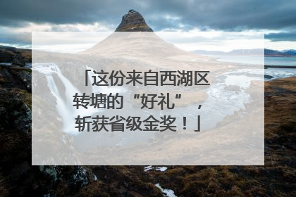 这份来自西湖区转塘的“好礼”，斩获省级金奖！