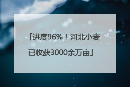 进度96%！河北小麦已收获3000余万亩