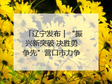 辽宁发布｜“振兴新突破 决胜勇争先”营口市力争上半年GDP增长6%左右