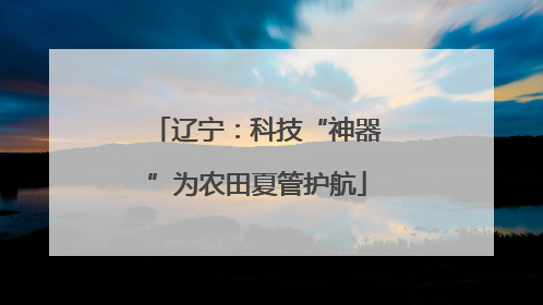 辽宁：科技“神器”为农田夏管护航