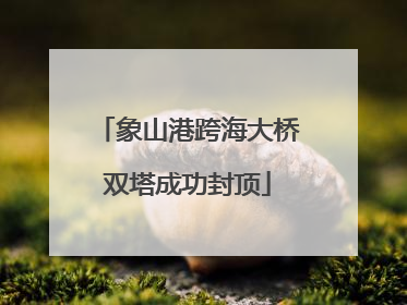 象山港跨海大桥双塔成功封顶