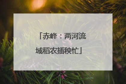 赤峰：两河流域稻农插秧忙