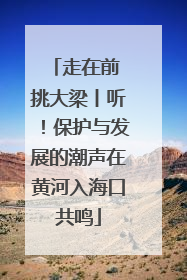 走在前 挑大梁丨听！保护与发展的潮声在黄河入海口共鸣